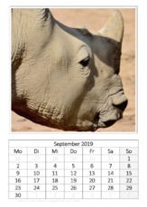 September_Nashorn.pdf